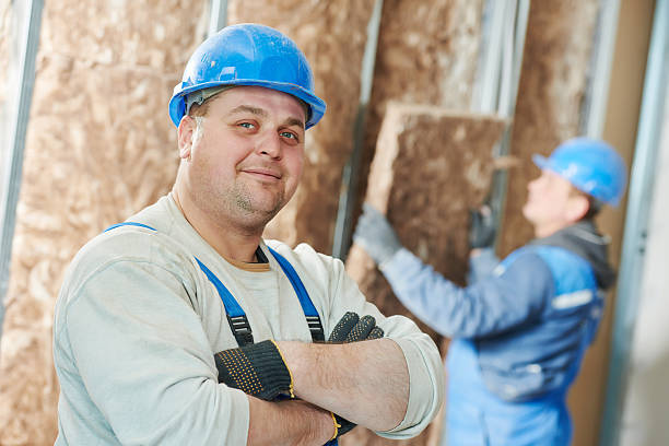Best Insulation Replacement Services  in Vinita, OK